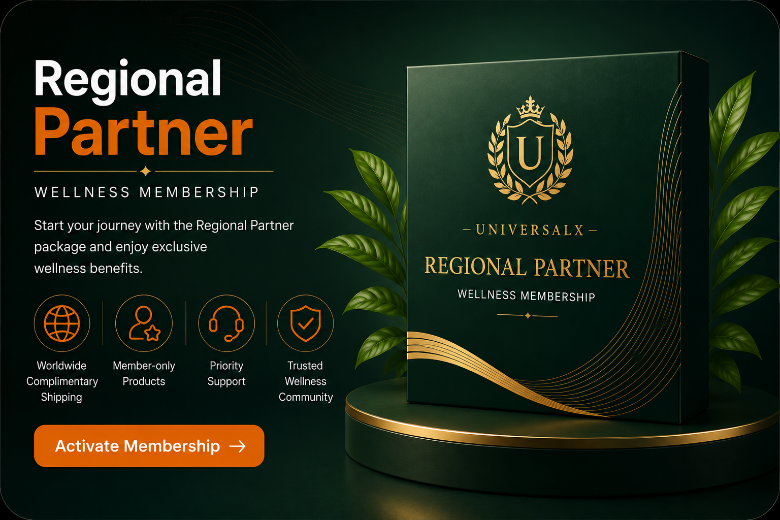Regional Partner