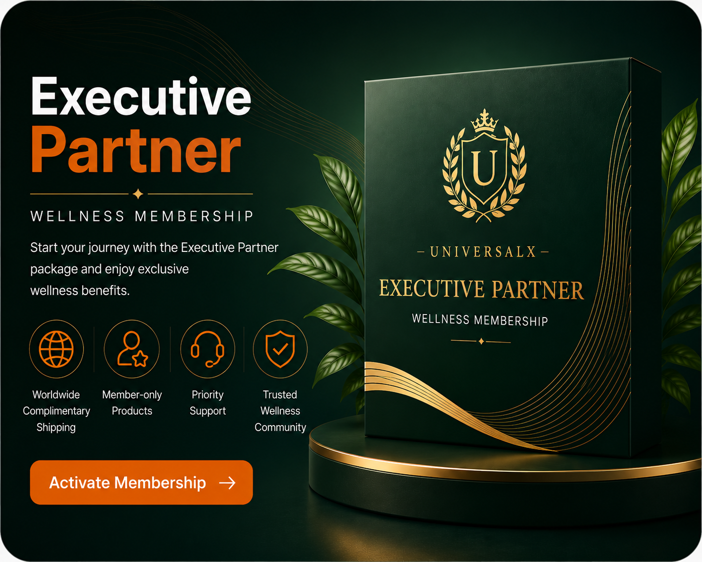 Executive Partner